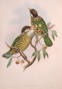 Item nr. 111505 The Birds of New Guinea and the Adjacent Papuan Islands. John Gould, RIchard Bowder Sharpe, RIchard Bowdler Sharpe.