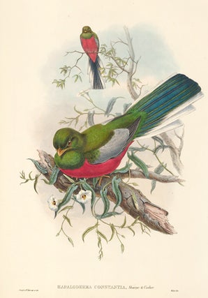 Item nr. 111511 A Monograph of the Trogonidae or Family of Trogons. John Gould