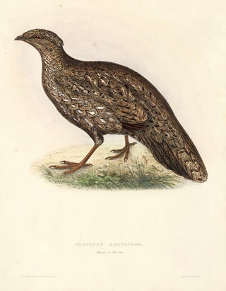 Item nr. 111512 Tragopan Hastingsii. A Century of Birds hitherto Unfigured from the Himalaya...
