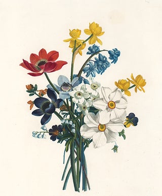 Item nr. 111548 Bouquet. Collection des Fleurs et des Fruits, peints d'apres nature. Jean Prevost