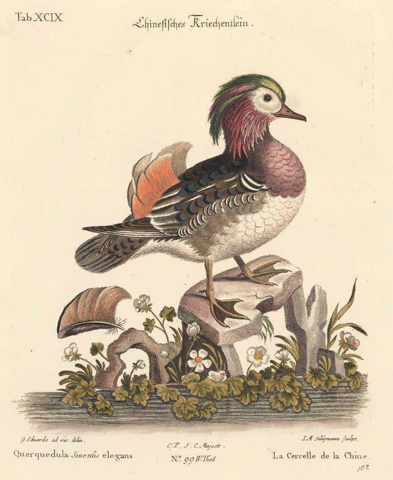 Item nr. 111642 La Cerelle de la Chine. Sammlung verschneider auslandischer und seltener Vogel. Johann Michael Seligmann.