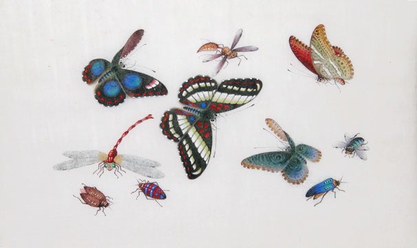Item nr. 111968 Butterflies & Insects. Youqua, Cantonese School.