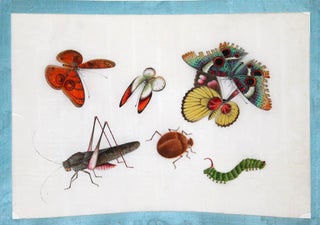 Item nr. 111999 Insects. Youqua