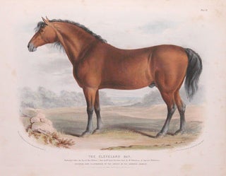 Item nr. 112186 The Breeds of the Domestic Animals of the British Islands. David Low, W. Nicholson
