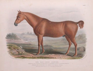 Item nr. 112187 Breeds of Domestic Animals. Low