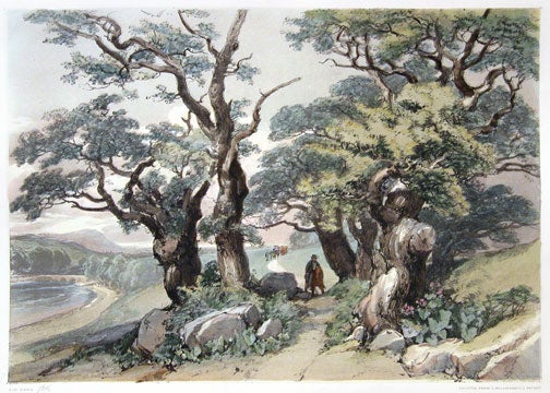 Item nr. 112335 Old Oaks. The Park and the Forest. James Duffield Harding, Harding.