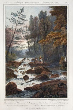 Item nr. 112401 Lower Falls near the residence of Mr. Montgomery. Jacques Gerard Milbert