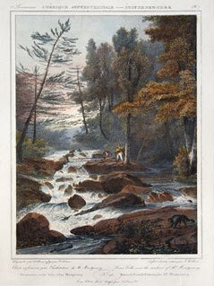 Lower Falls near the residence of Mr. Montgomery.