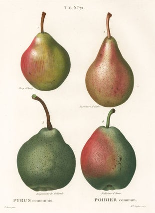Item nr. 122133 Poirier (Pears). Traite des arbres et des arbustes/. Pierre Joseph Redoute