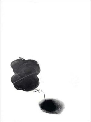 Item nr. 122550 TERENCE KOH. Shamim M. Momin, Beatrix Ruf, New York. Whitney Museum of American...