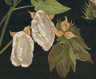 Botanical Teaching Charts.