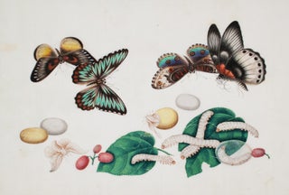 Item nr. 123879 Butterflies and Silk Worms with Lychee Nuts. Cantonese School