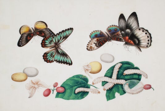 Item nr. 123879 Butterflies and Silk Worms with Lychee Nuts. Cantonese School.