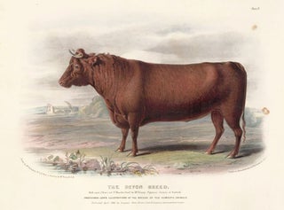 Item nr. 124702 The Breeds of the Domestic Animals of the British Islands. David Low, W. Nicholson