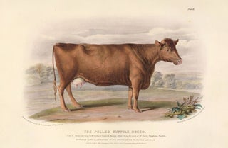 Item nr. 124705 The Breeds of the Domestic Animals of the British Islands. David Low, W. Nicholson