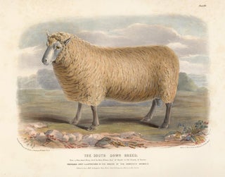 Item nr. 124715 The South Down Breed. The Breeds of the Domestic Animals of the British Islands....
