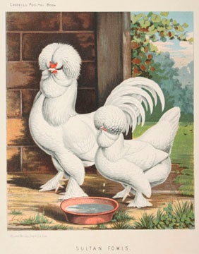 Item nr. 135218 Illustrated Book of Poultry. J. W. Ludlow, Lewis Wright, after