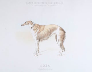 Item nr. 135230 Prize-winning Show Dogs]. Russian School