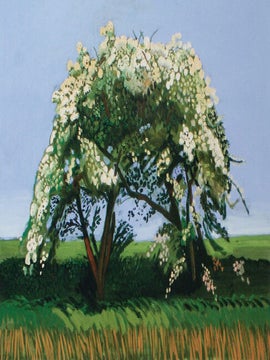 DAVID HOCKNEY: Just Nature/Nur Natur