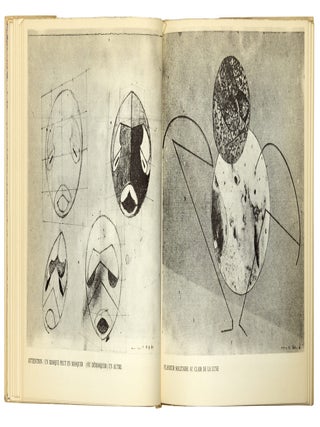 Journal d'un Astronaute Millenaire.