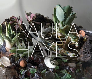 PAULA HAYES