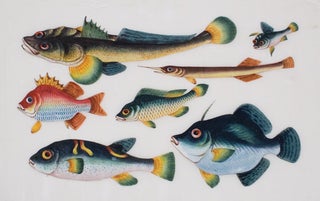 Item nr. 145464 A School of Tropical Fish. Cantonese School
