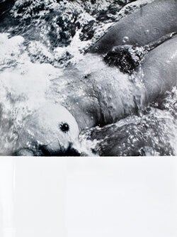 Item nr. 146362 Corps Memorable. Paul ELUARD