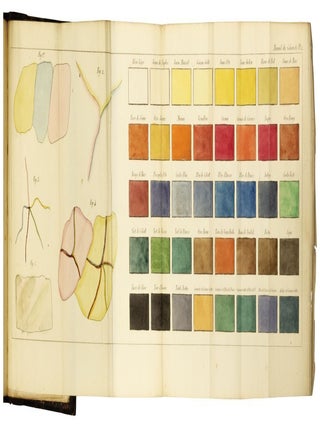 Item nr. 148015 Nouveau manuel complet du coloriste. BLANCHARD, PERROT E. T., A M., L J. S. Thillaye