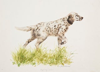 Item nr. 149650 English Setter. Jaromir Knotek