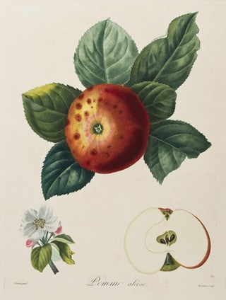 Item nr. 149686 Pomme Aleose. Pomologie francaise: recueil des plus beaux fruits cultives en...