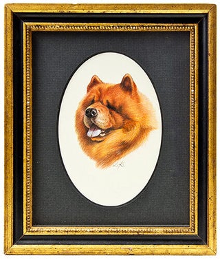 Chow Chow.