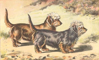 Item nr. 150232 Dandie Dinmont. Les Chiens, le Gibier et ses Ennemis. P. Mahler