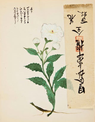 White flower with additional rice paper strip.
