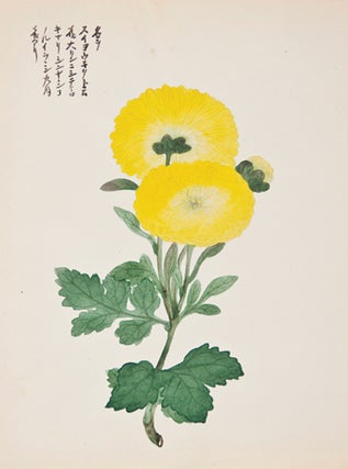 Item nr. 150292 Yellow Mums. Japanese School