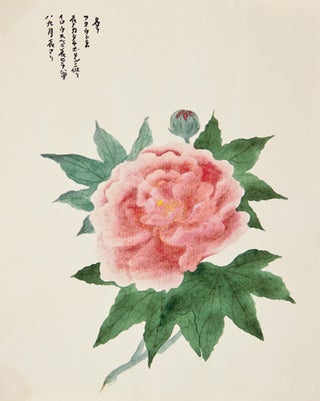 Item nr. 150294 Pink Flowers. Japanese School