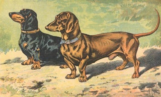 Item nr. 150837 Tekel ou Dachshund. Les Chiens, le Gibier et ses Ennemis. P. Mahler