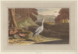 Item nr. 150838 Heron. Interesting Selections from Animated Nature. William Daniell
