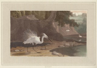 Item nr. 150839 Egret. Interesting Selections from Animated Nature. William Daniell