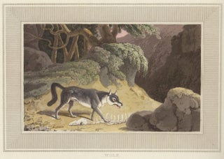 Item nr. 150898 Wolf. Interesting Selections from Animated Nature. William Daniell