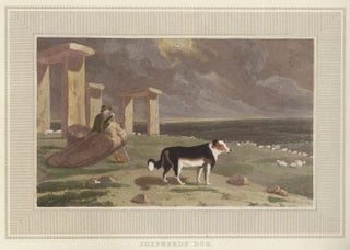 Item nr. 150901 Shepherd Dog. Interesting Selections from Animated Nature. William Daniell