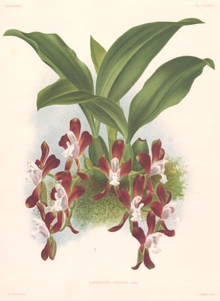 Item nr. 151059 Batemannia Colleyi. Lindenia iconographie des Orchidees. Jean Jules Linden