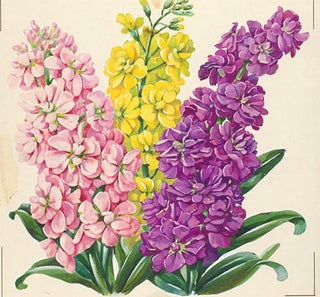 Item nr. 151161 Pink, Yellow and Purple Flowers. American School