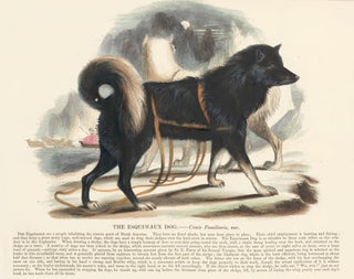 Item nr. 151382 The Esquimaux Dog. Plates Illustrative of Natural History. Josiah Wood Whymper