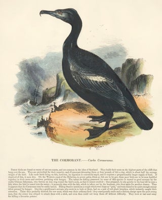 Item nr. 151389 The Cormorant. Plates Illustrative of Natural History. Josiah Wood Whymper