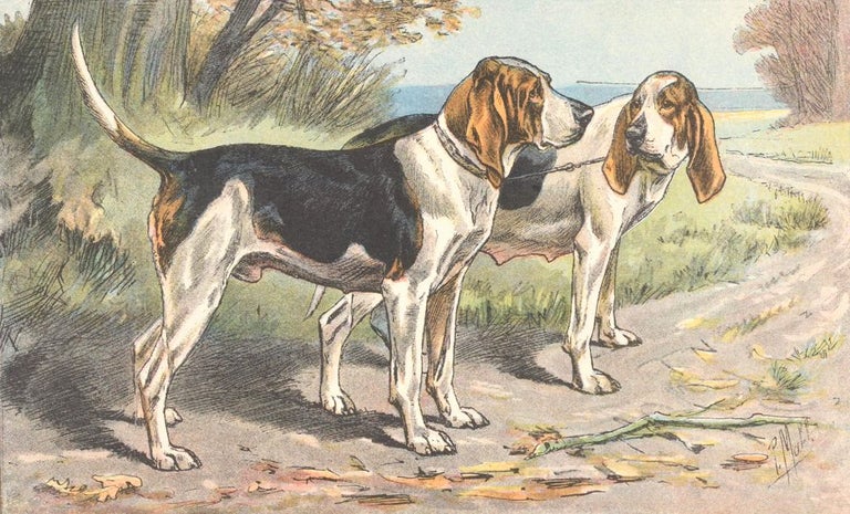 Item nr. 151585 Batard Anglo-Normand. Les Chiens de Chasse. P. Mahler.