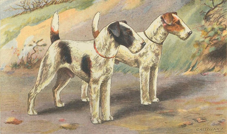 Item nr. 151608 Fox Terrier A Poil Dur. Les Chiens de Chasse. F. Castellan, P. Mahler.