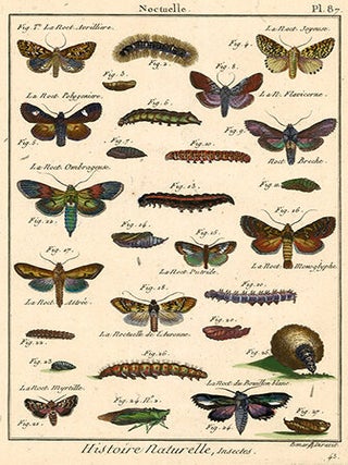 Noctuelle III