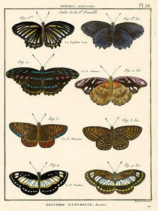 Nymphes Aveugles III
