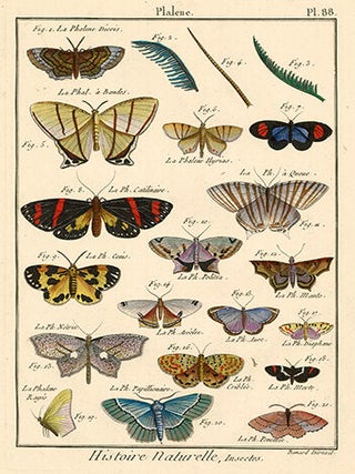 Plalene