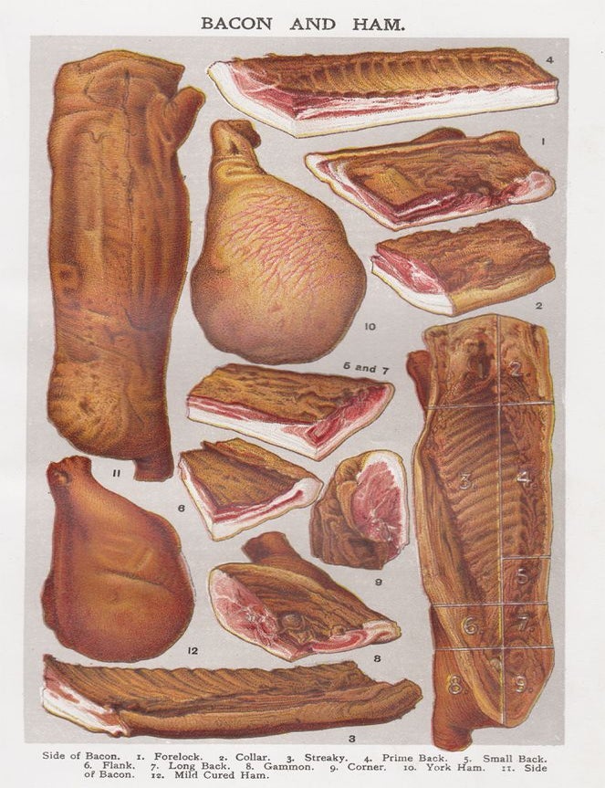 Item nr. 152081 Bacon and Ham. Mrs. Beeton's Book of Household Management. Isabella Beeton.